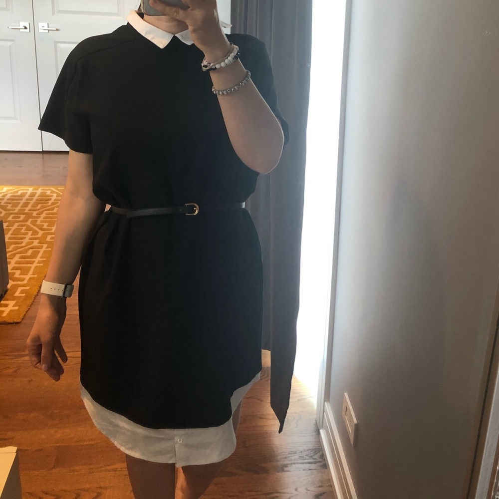 Zara Dress